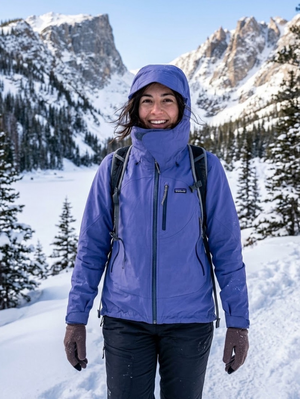 Patagonia Stretch Speed Ascent Hooded Insulated Winter Softshell Jacket Coat
